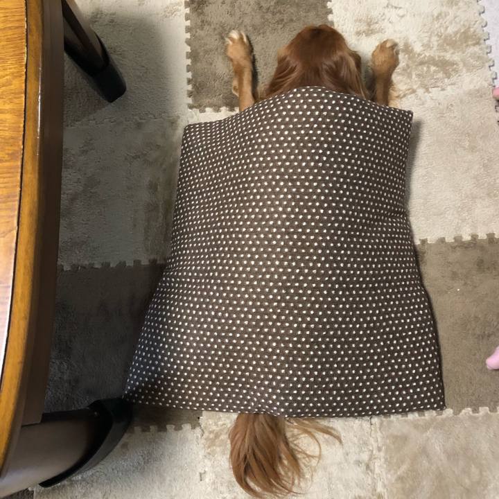 D583ee9a 279f 46e8 8ae2 b461a2154d69 1592345554384