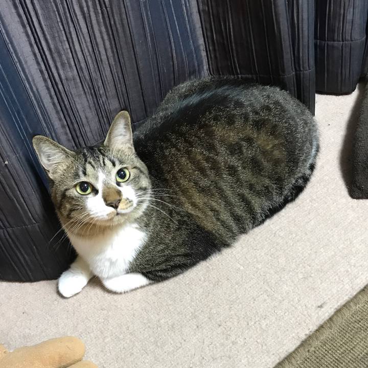 D5843877 0c8f 4f77 94d2 f8890b237a37 1508159318382