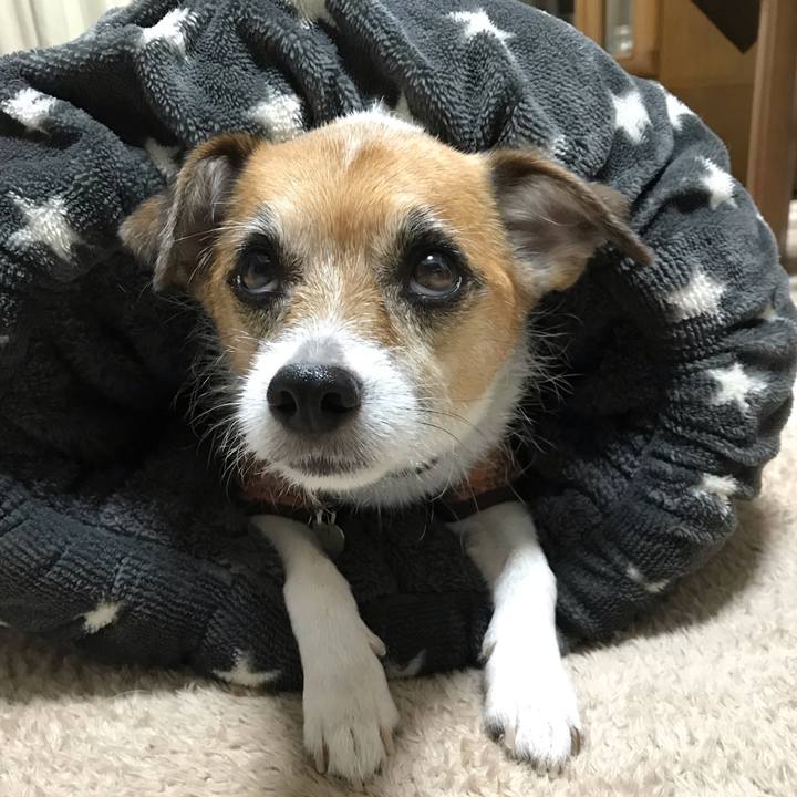 D5846468 c36f 4302 9ed4 f3386cb26df2 1540461276233