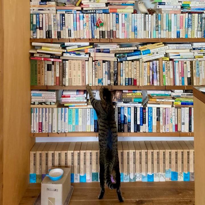 D584896f aebb 4306 85fa 8ec575adc1c1 1713573196391