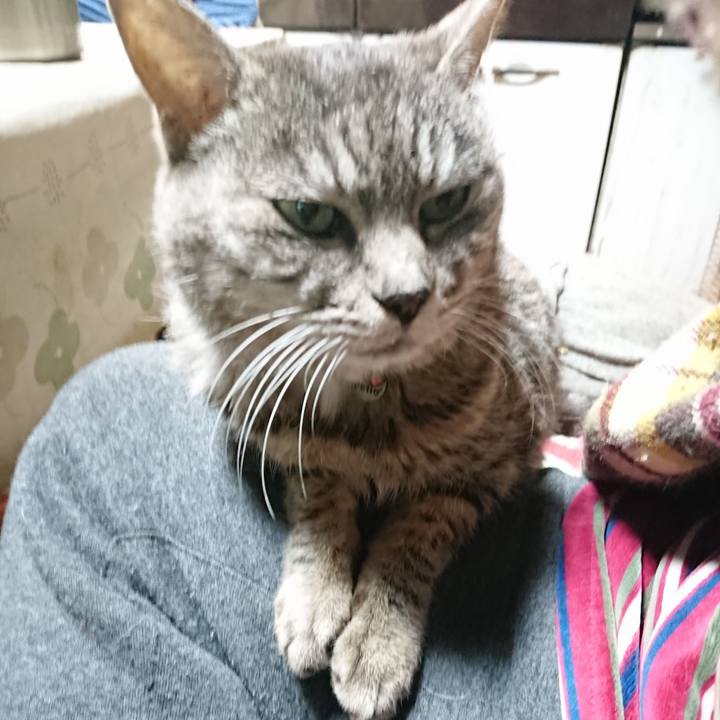 D5849297 1ccf 416c a868 75409de75e04 1578904937221