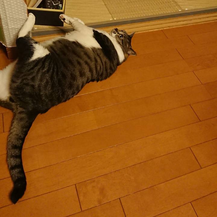 D5849334 ccb7 40b7 9d26 3906bbd7690b 1530181986184