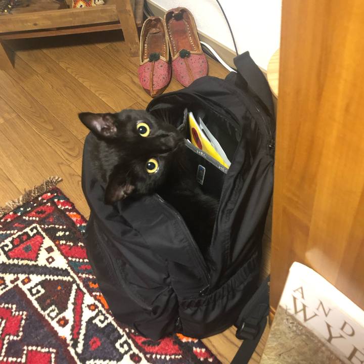 D584b232 7763 4dae bb4b 610db91b1b71 1631028646837