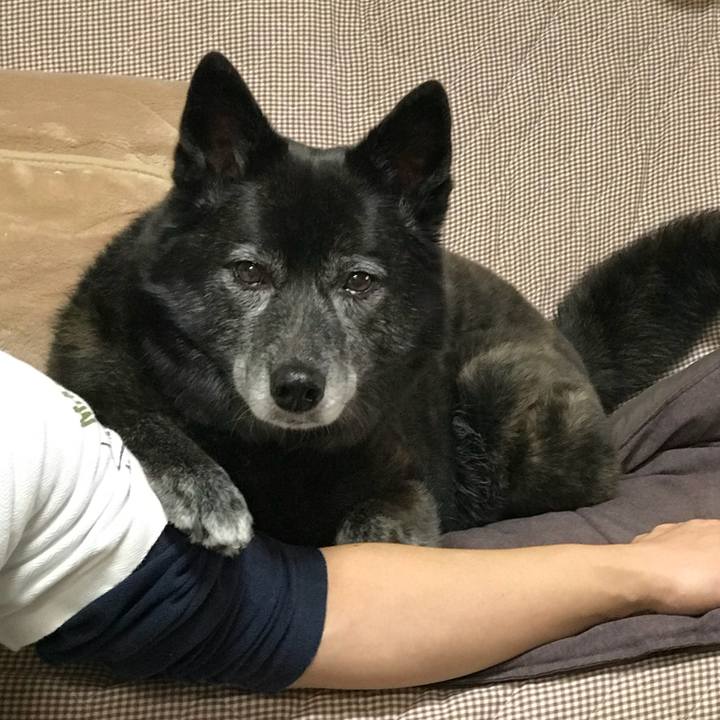 D584bc70 77d4 4970 b0b7 73eec774bdb7 1522664245453