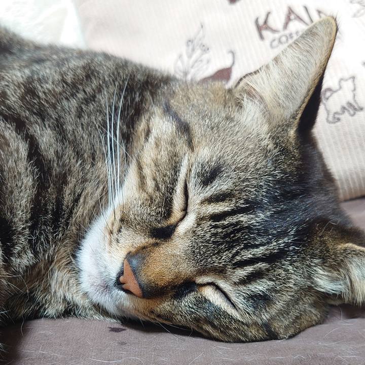 D584ca01 b4a3 4421 8d85 8d30ed411413 1682259802013