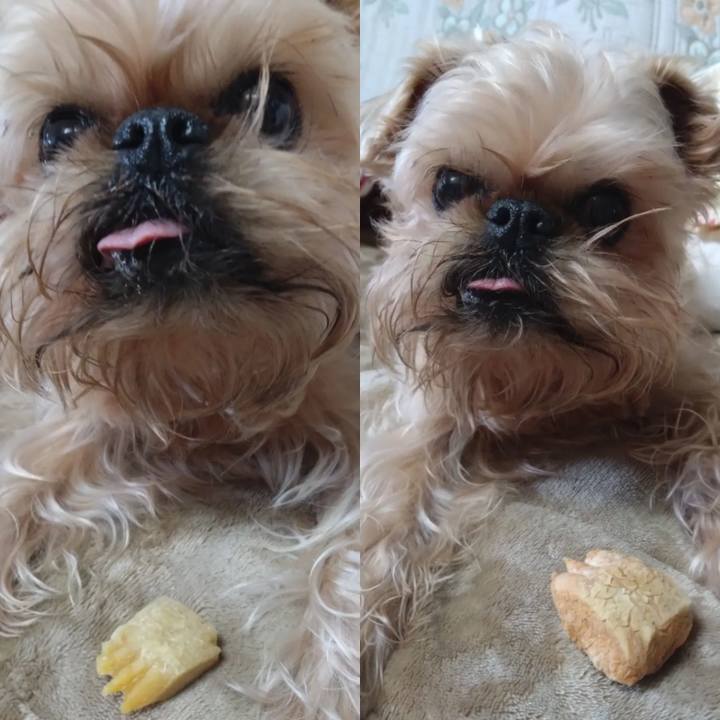 D584fdec b0cf 4334 80e0 19ef46ce88b1 1673235981431