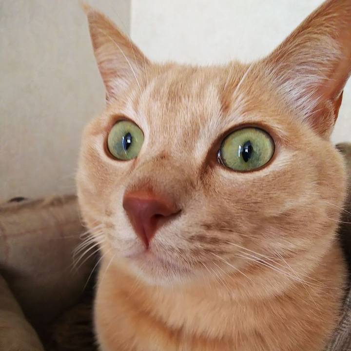 D584ff28 9f4f 409d 8db9 d0405db0aa1f 1669432898657