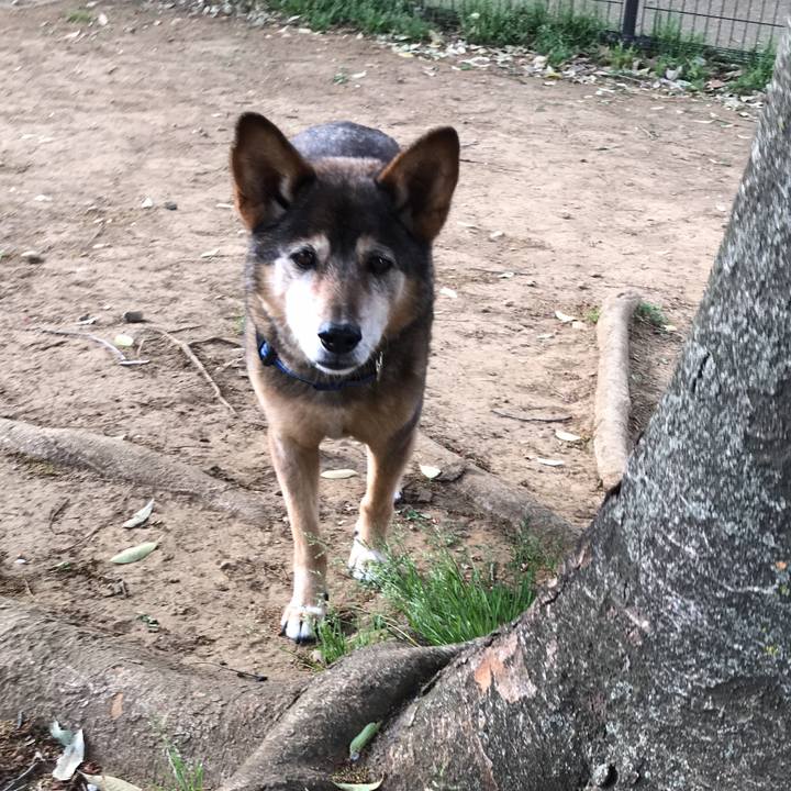 D58526af b2e5 42cd a801 db9baf00ec58 1523271487280