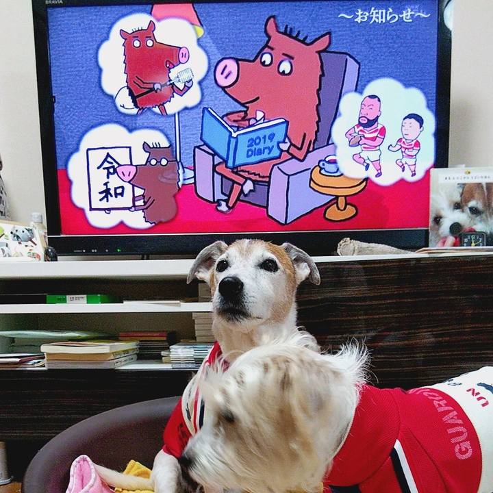 D585489c abfb 49e3 b64f 19d97d56e6bc 1576750152323