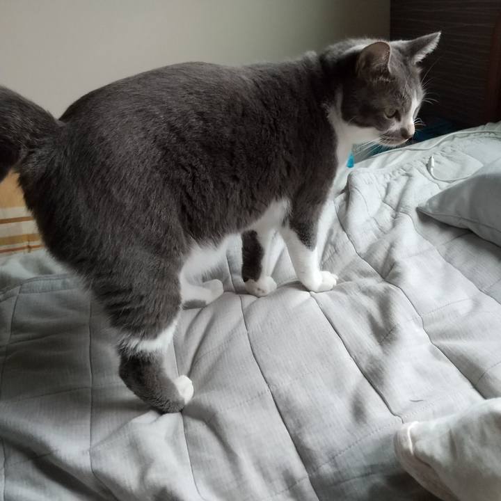 D58570cb b012 45e4 8e70 f250cbfaef23 1630882468332