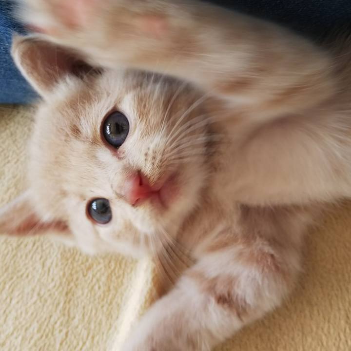 D585835a 485d 473d 8813 8fab00f23733 1540561937861