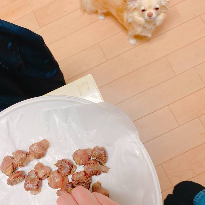 D585a542 ac50 441e 9a8f ae0f2611e02e 1647144319613