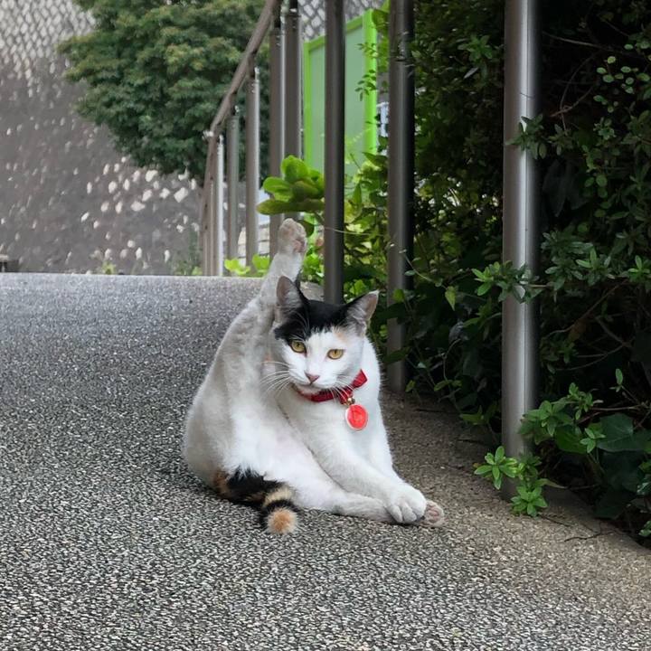 D585d425 4232 482c a792 05871c041a75 1632780542350