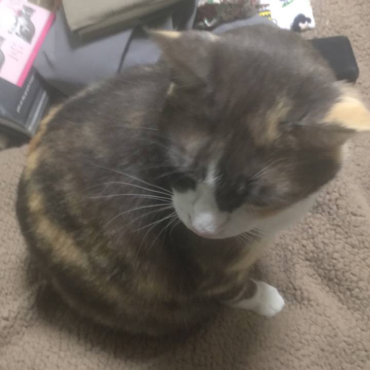 D5860087 e55b 4382 9587 374a83c3809e 1551964967864