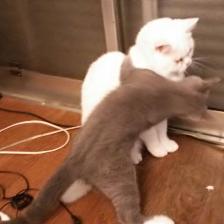 D5860adc 2035 44c5 9dc2 957689923bd4 1534668468557