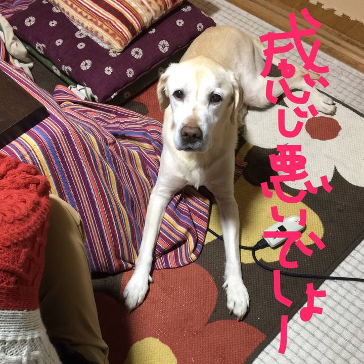 D58610d9 63da 402f a317 b8aa3c59c66a 1515148085799