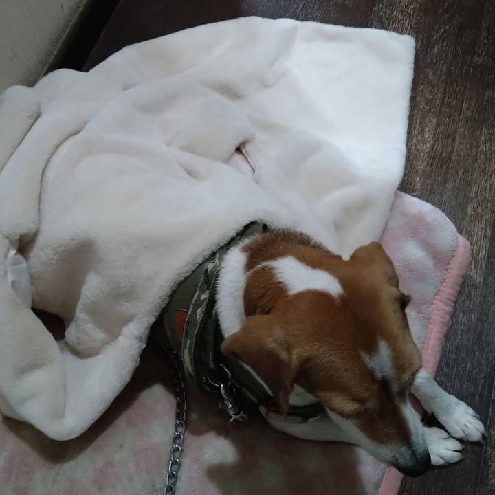 D5863f55 942c 4f45 8311 08c17d4d6970 1666969451691