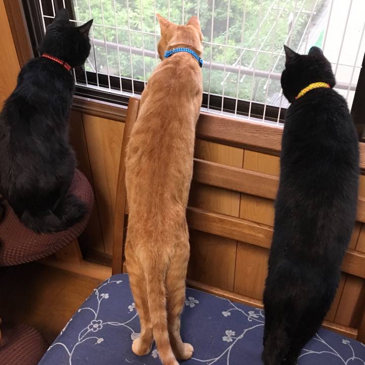 D58674df 36a1 44e6 bbcc 0d199485535c 1532353648549