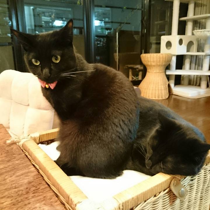 D5868084 b333 4873 b897 7c02cd0acd7b 1518272151880