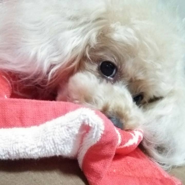 D586b00b 8779 4302 80a7 689271f830bd 1532078024659