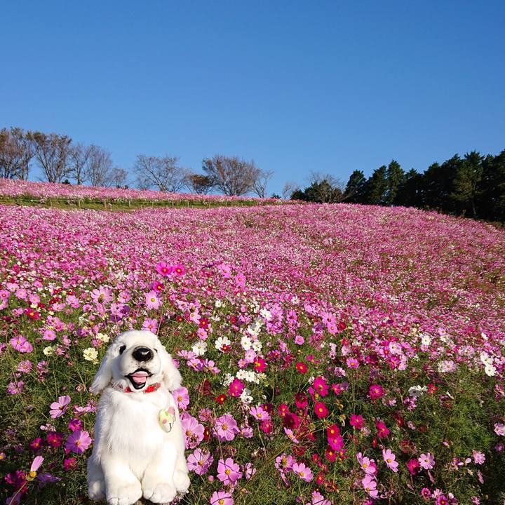 D586ca25 ed8c 4130 a7a0 341d6e9f77a1 1602667770587