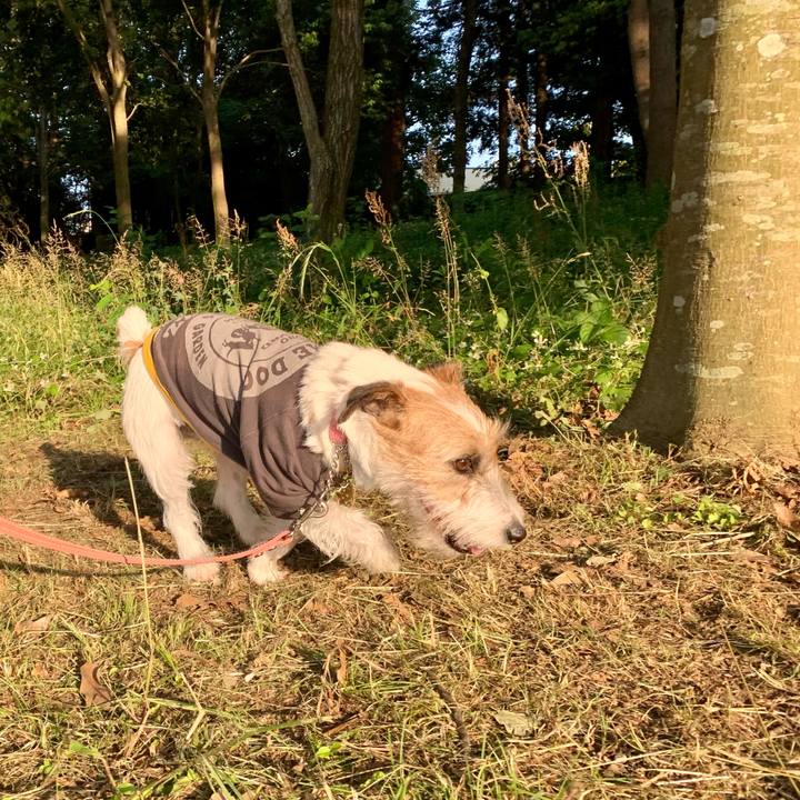 D587050f 64d5 43f4 88af 5fde7db3a075 1622464738812