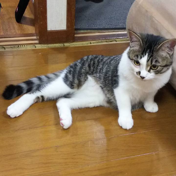 D5870645 34ee 46f1 b688 15b0f9e96a2b 1615461254936