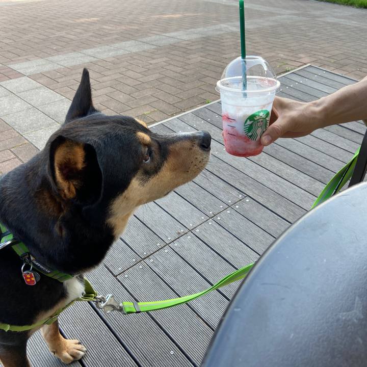 D58726af c55f 4daa b5e7 6d8fb31ae5a8 1621768352510