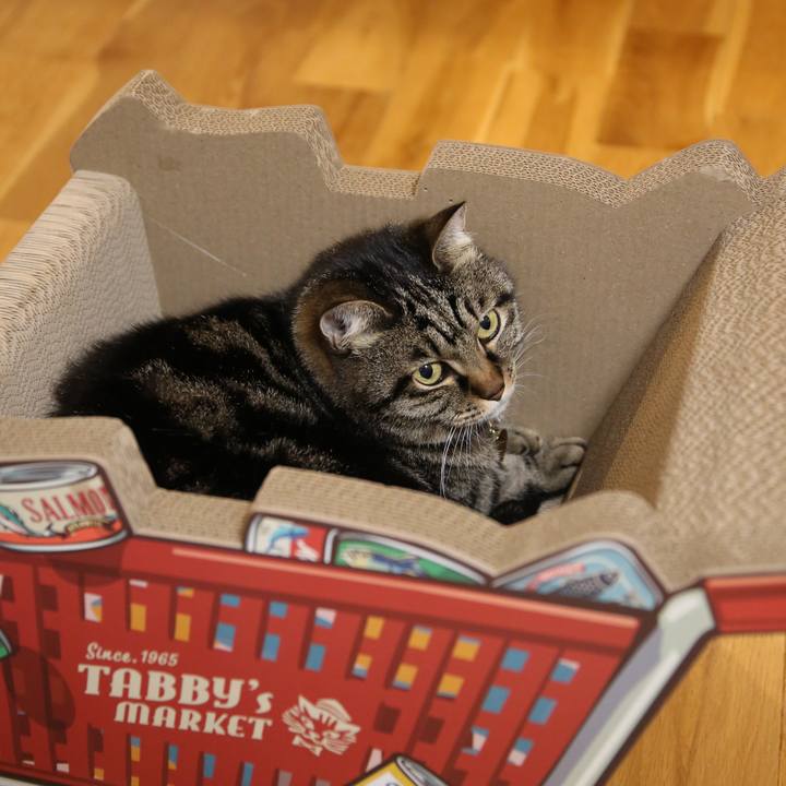 D58745b6 1934 402d a5f5 a6cbda7003ae 1706781263984