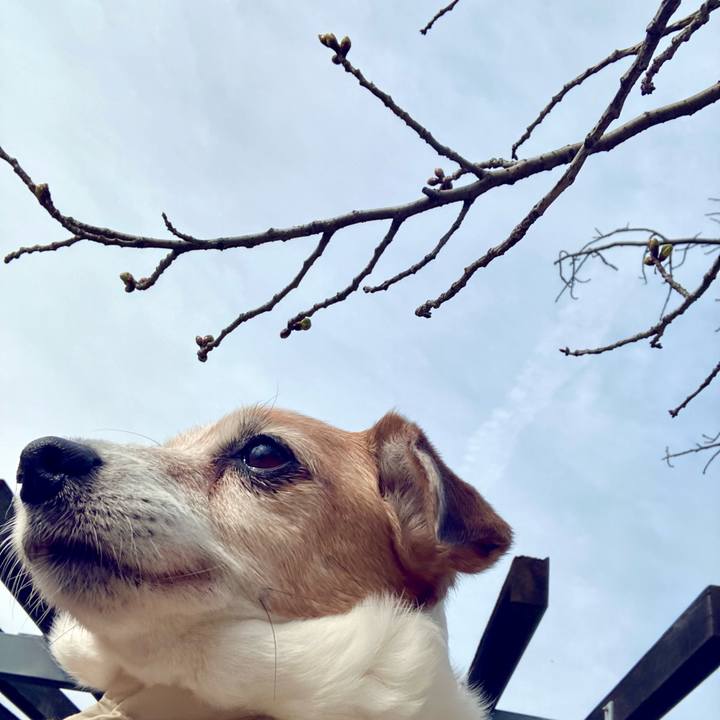 D5875f31 5674 4bd0 9258 01f94cb61bf6 1711280021576