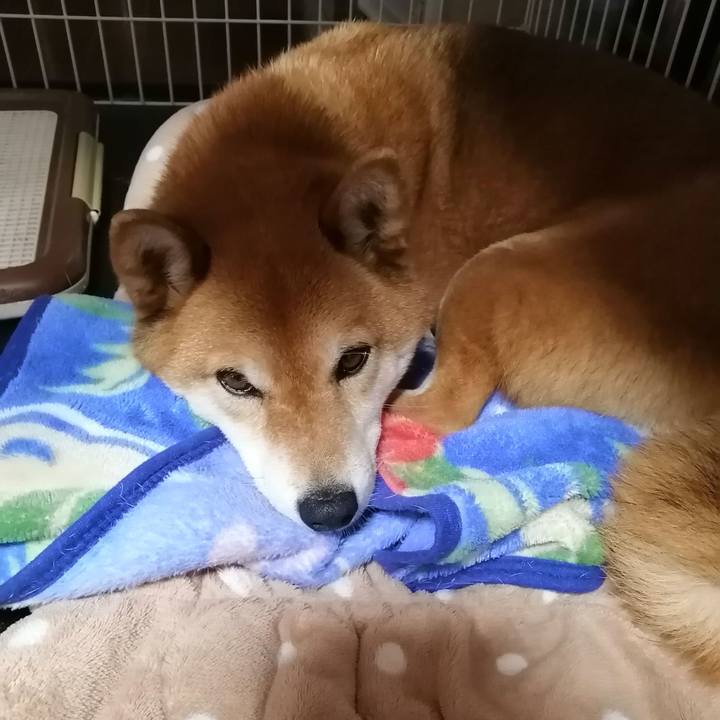 D5876577 4511 42eb 9a5c 3788d5b442af 1586760990891