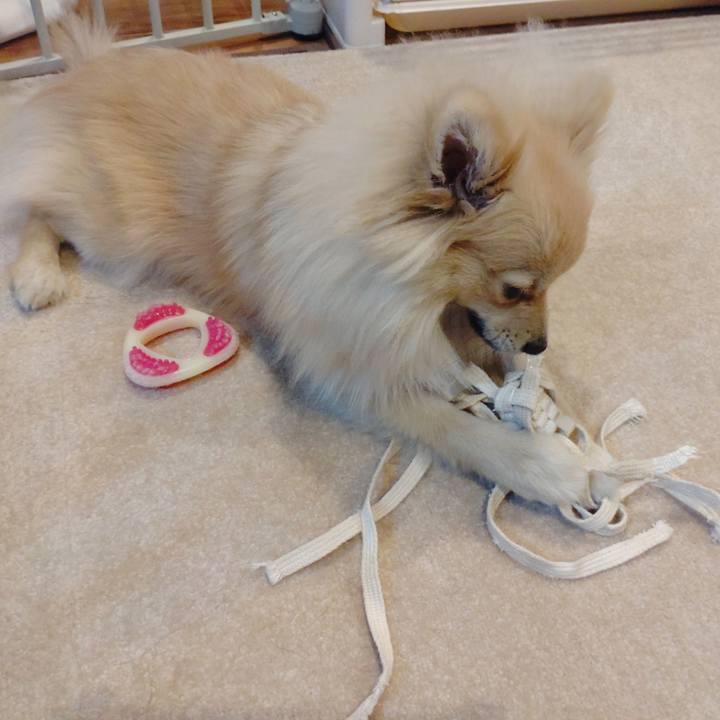 D5877a5b fe91 4355 84d9 e6247c8f148f 1736293495552