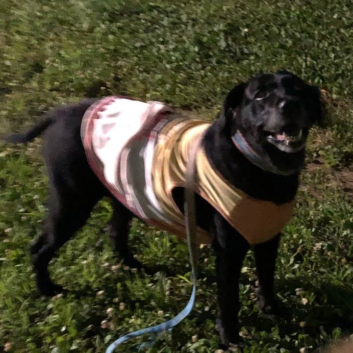 D58783f4 1218 4a1d 9baa 948e7ec4ba43 1530714103820