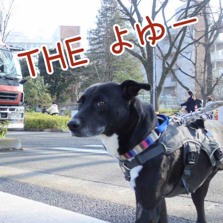 D587bf21 48ff 41eb b949 8c4ab1253145 1648082610749