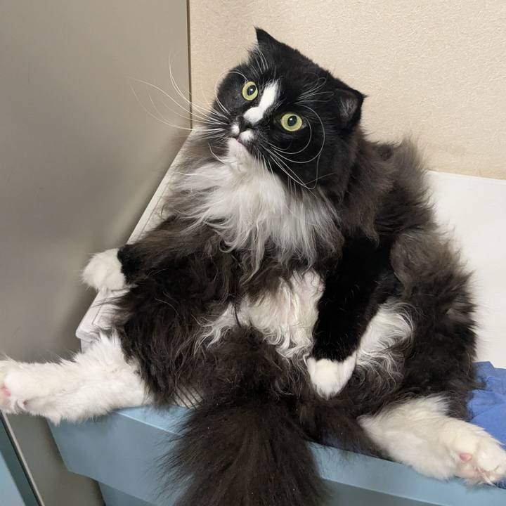 D5882b23 1a49 4c47 a84c 5be8f672601a 1737974013155