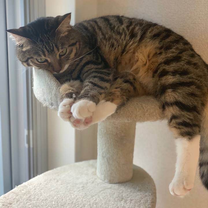 D5886b55 d07e 4a60 ad77 3b3c3199ce5e 1592569151121