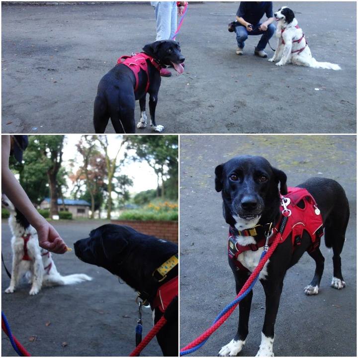 D5888ba2 2024 45df 8d03 0ef0b21b6390 1598487545022