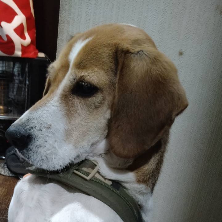 D588b740 5244 4232 9d11 5a18dce58f35 1672147335939