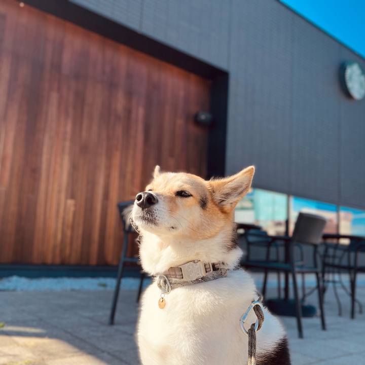 D588d01a 6e9c 472c b20c 21f68b096c32 1759987111188