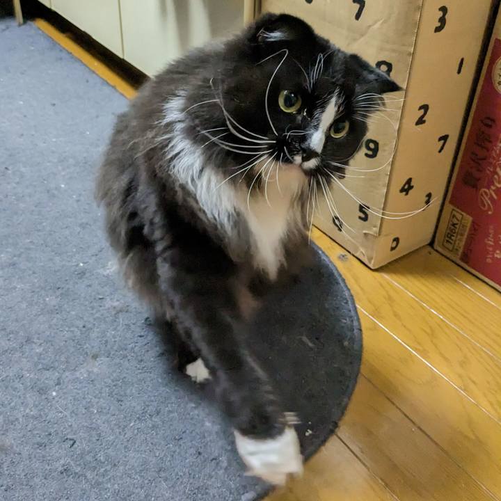 D588e995 ebfa 4d50 b9c0 1c9945f1567a 1682944142116