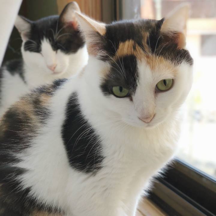 D588f287 8099 45da b968 b19191b3b3a1 1541041144158