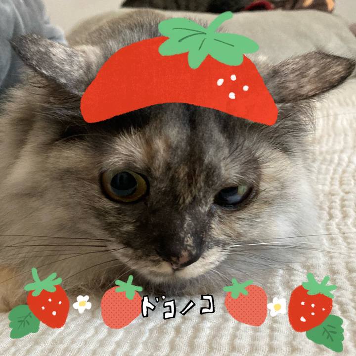 D5890a54 6273 4757 93c3 48469d85c171 1775263822026