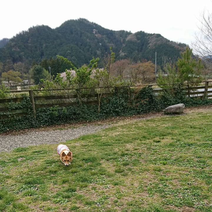 D5894ea4 f47e 4269 bfe9 99db569987d8 1555495570872