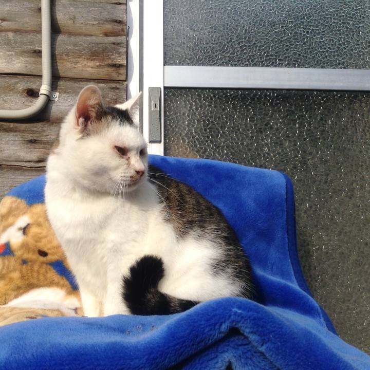 D5898f13 5735 4841 8916 c3c7cc15ebc3 1512783489860