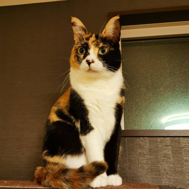 D5899718 415b 4949 8875 18490e734038 1643859859010