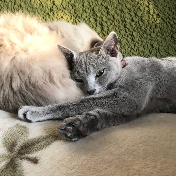 D589ab02 6c83 446a bfd0 6952f7e33d02 1516282885450