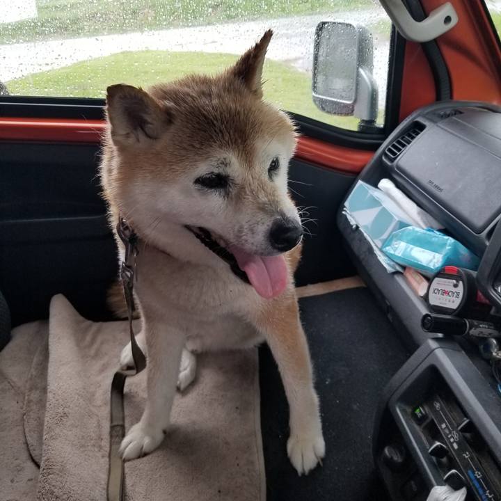 D589b372 08c6 4913 aa94 0a3cdf1f7572 1720246347159