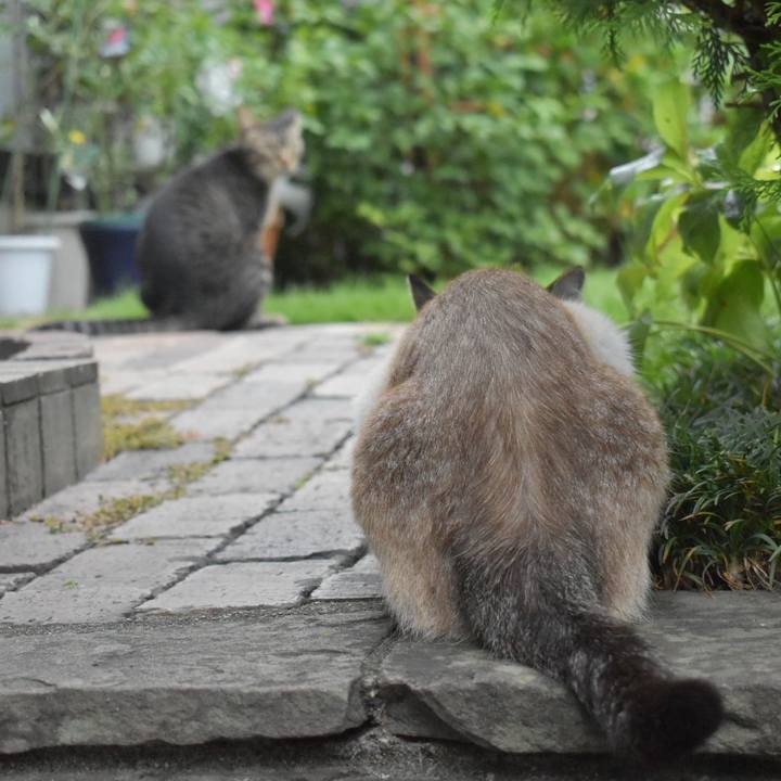 D589c9ae 067e 45ba af37 8fe88966807f 1566091137853