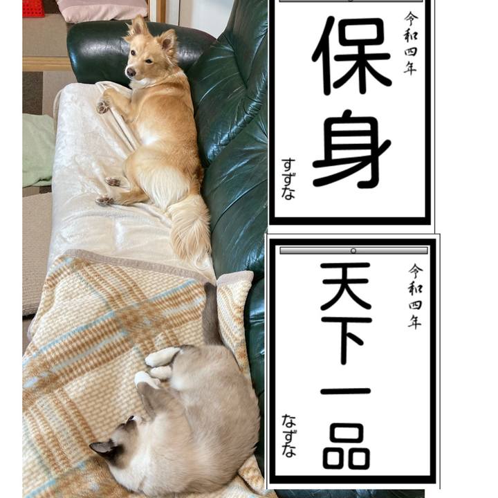 D589c9c5 1ded 4b41 b294 716fbc7241c3 1641196910664