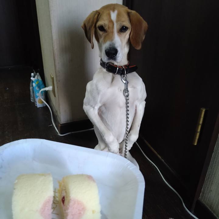 D589c9f3 79b5 4aff a10c fcb90f0d626a 1643610708376